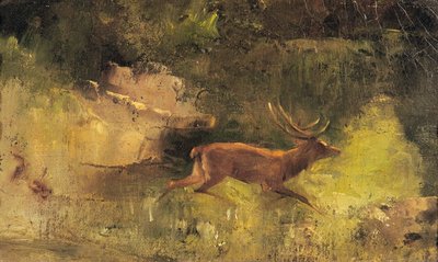Stag Running through a Wood, c.1865 by Gustave Courbet
